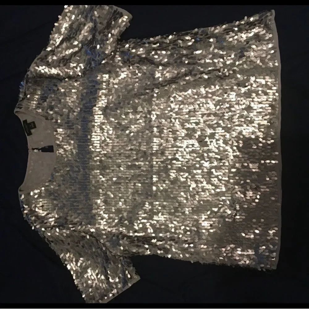 Ann Taylor Silver Sequin Top